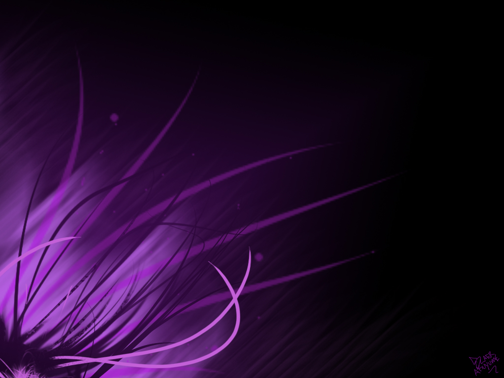 Info Wallpapers: purple and black wallpaper