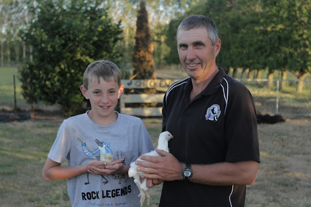 Pecking Order: Film Review