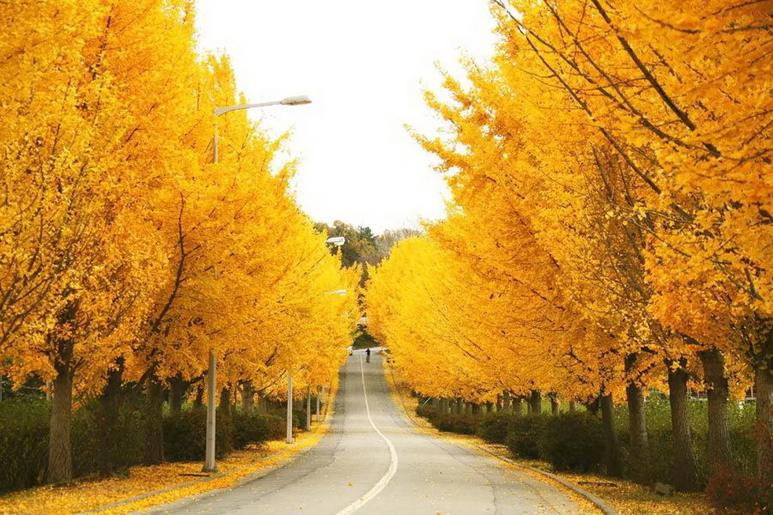 best road trips from San Diego
