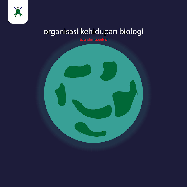 cabang ilmu biologi tingkat organisasi kehidupan ilustrasi organisasi kehidupan artikel ini membahas 11 tingkat organisasi kehidupan sebagai objek kajian biologi dan contoh permasalahannya.