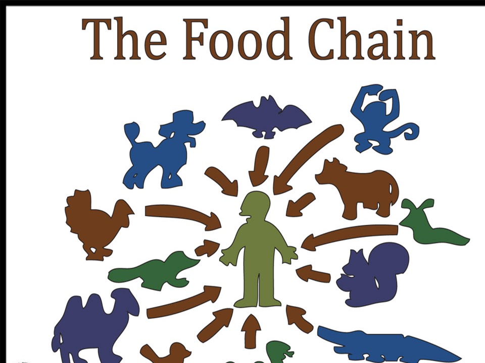 SONU ACADEMY WEB OF LIFE TEXT