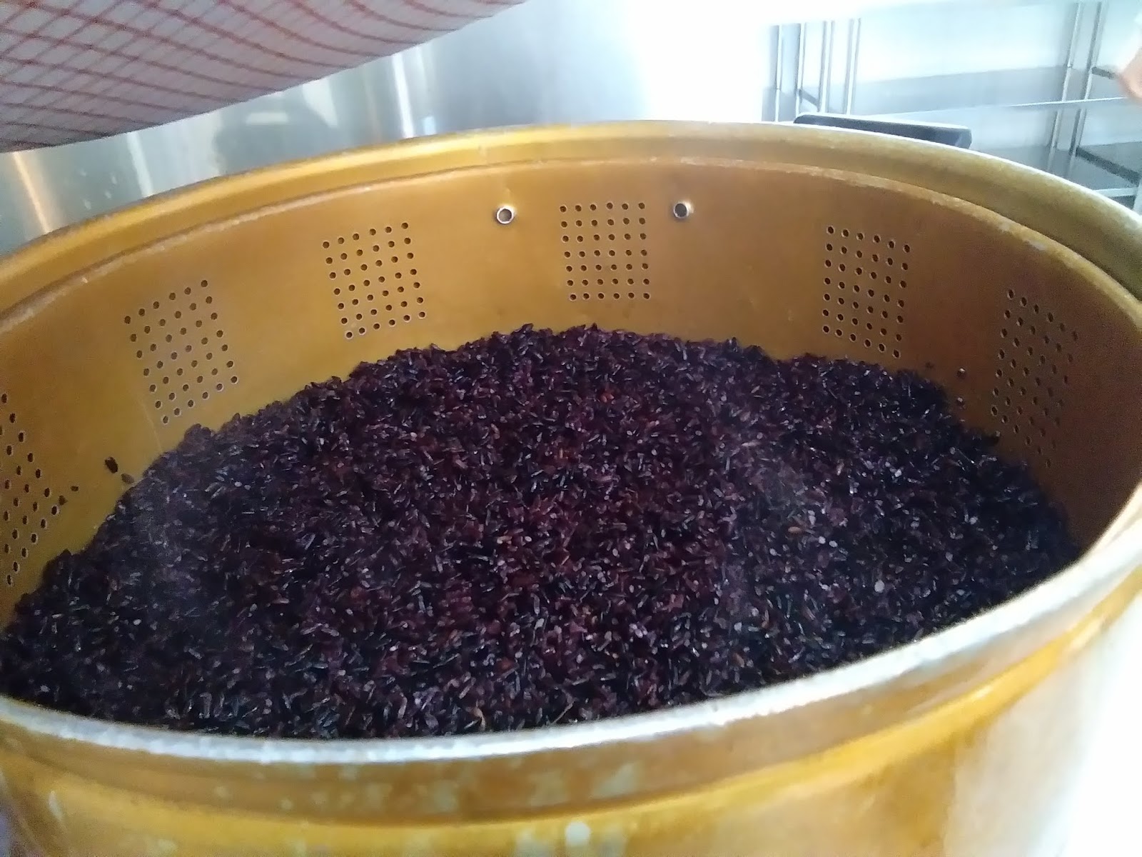 Laporan Tape Ketan Dan Tape Singkong