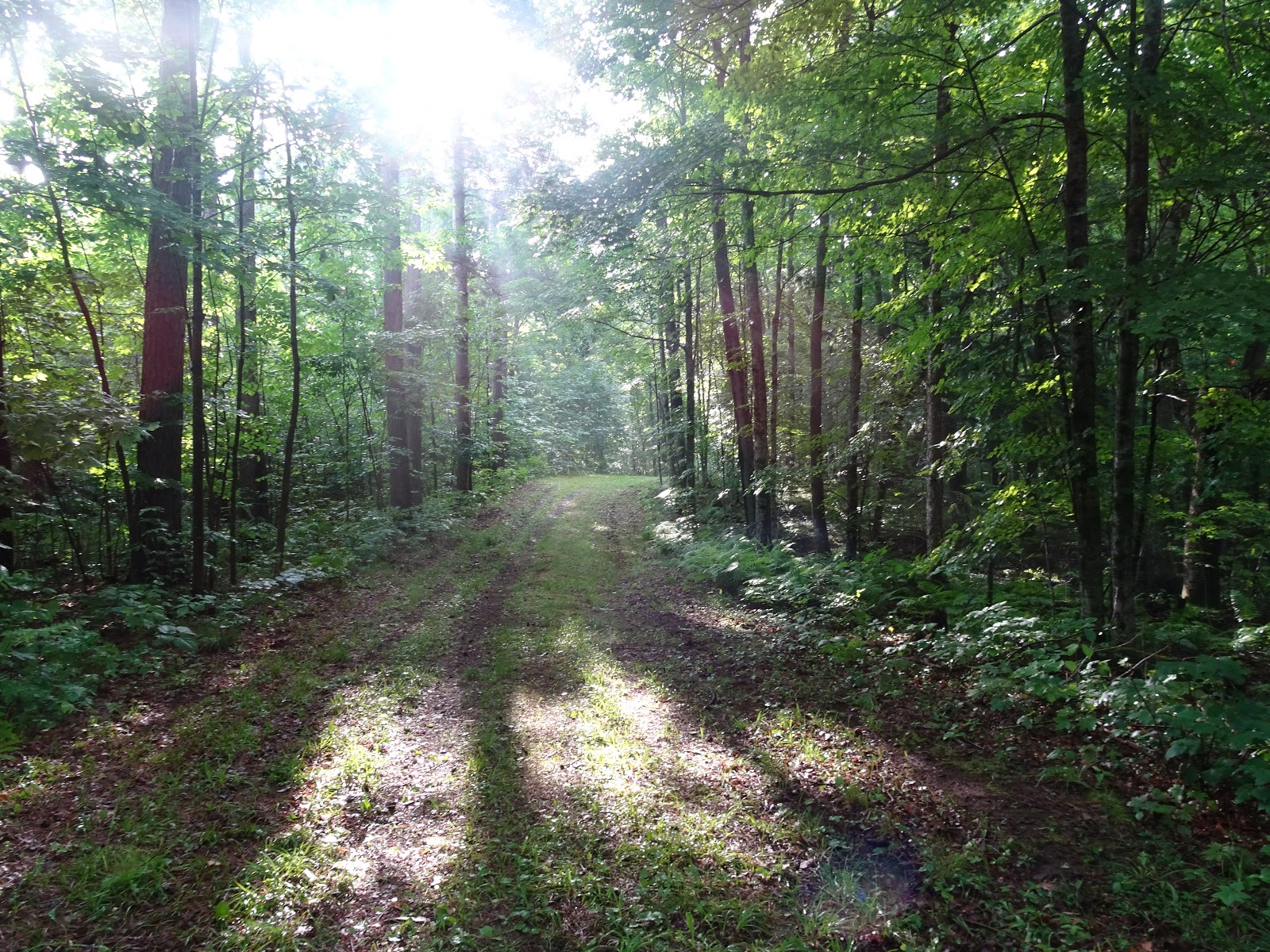 Mama's Basecamp Camping with Family at Copper Falls State Park