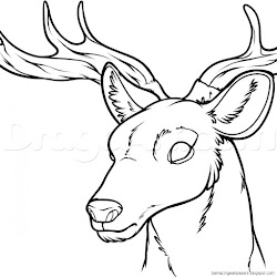 deer head draw step animals forest drawings easy drawing skull amazing
