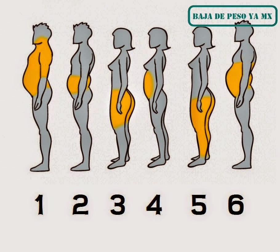 ATENCION CUERPO Y ALMA: DEPOSITOS DE GRASAS CORPORALES Y ATENCION CUERPO Y ALMA: DEPOSITOS DE GRASAS CORPORALES Y