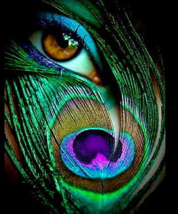 Awesome facebook display pictures - Top Profile Pictures ...