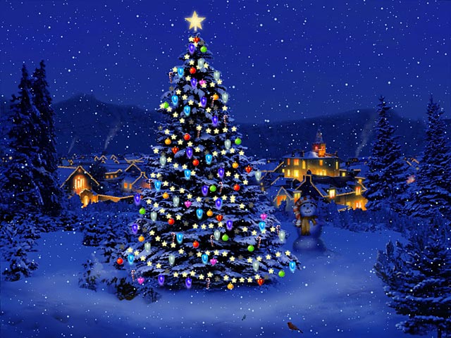Email Forwards Fun!: Beautiful Winter Christmas Trees
