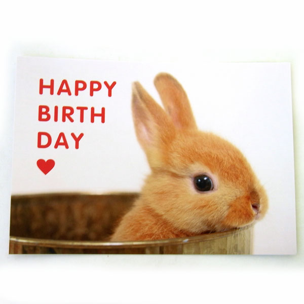 Happy Birthday Bunny Card, ~ Send Everyday