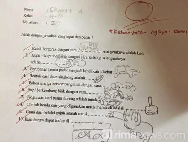 10 Jawaban Soal Ujian Anak SD Paling Konyol | Dawai Berita Informasi