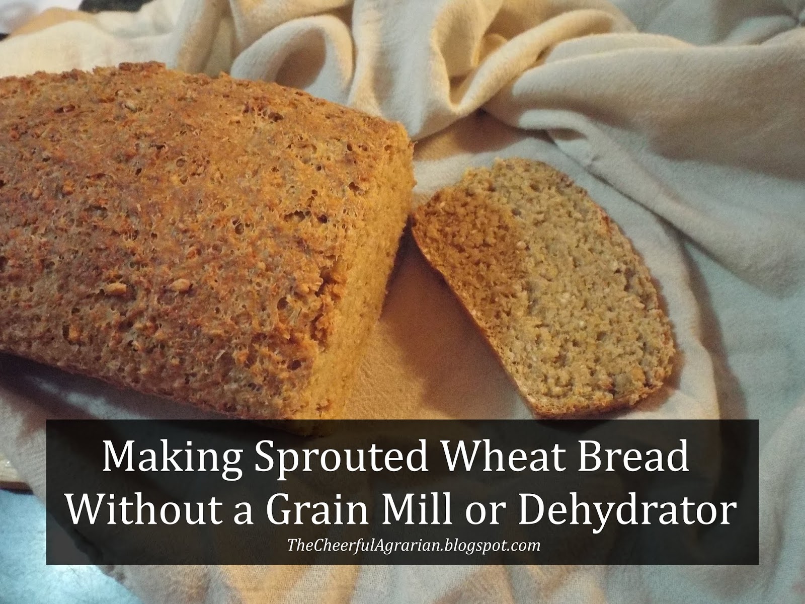 The Cheerful Agrarian Making Sprouted Wheat Bread Without a Grain Mill