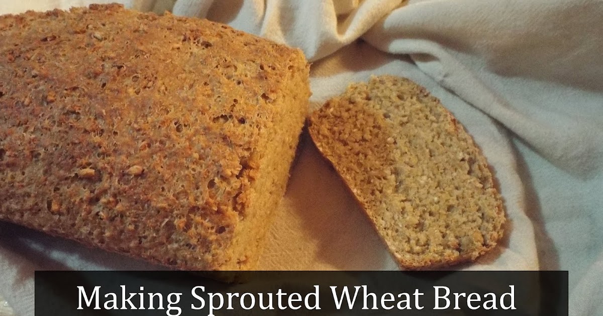 The Cheerful Agrarian Making Sprouted Wheat Bread Without a Grain Mill