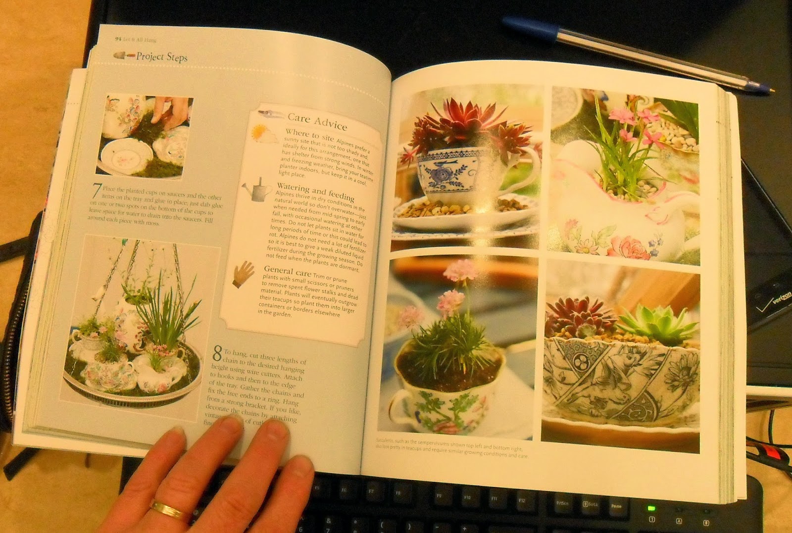 Backyard Patch Herbal Blog Book Review Small Space Garden Ideas