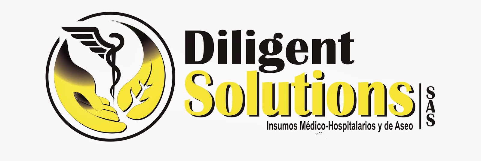 DILIGENT SOLUTIONS DILIGENT SOLUTIONS PAPELERÍA, ÚTILES ESCOLARES