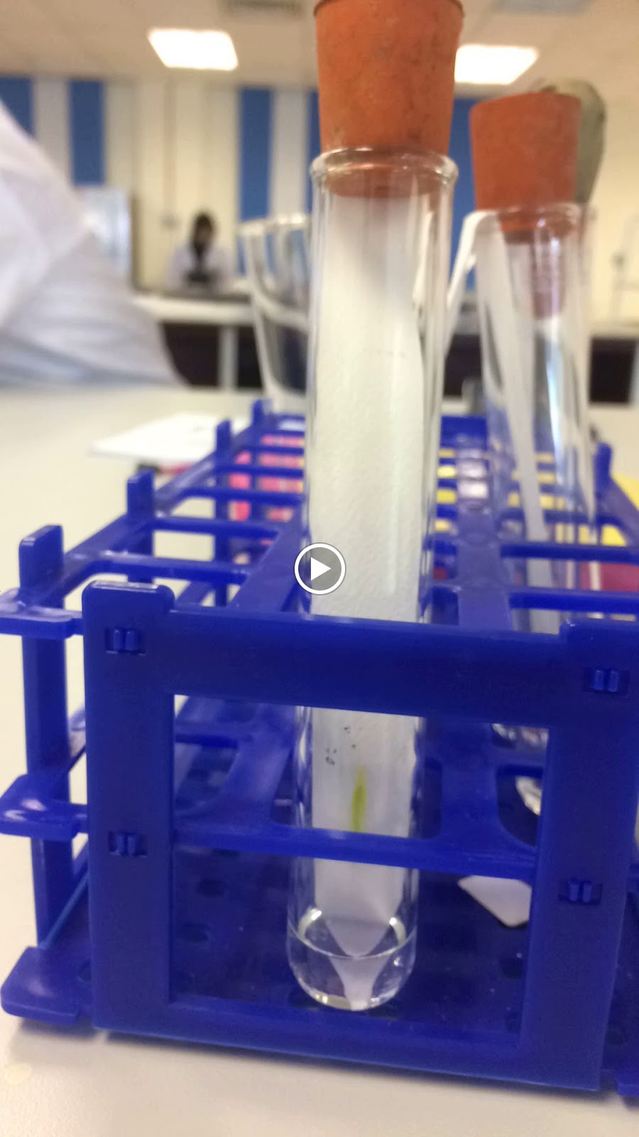 Lab 7 Plant Physiology (Paper Chromatography)