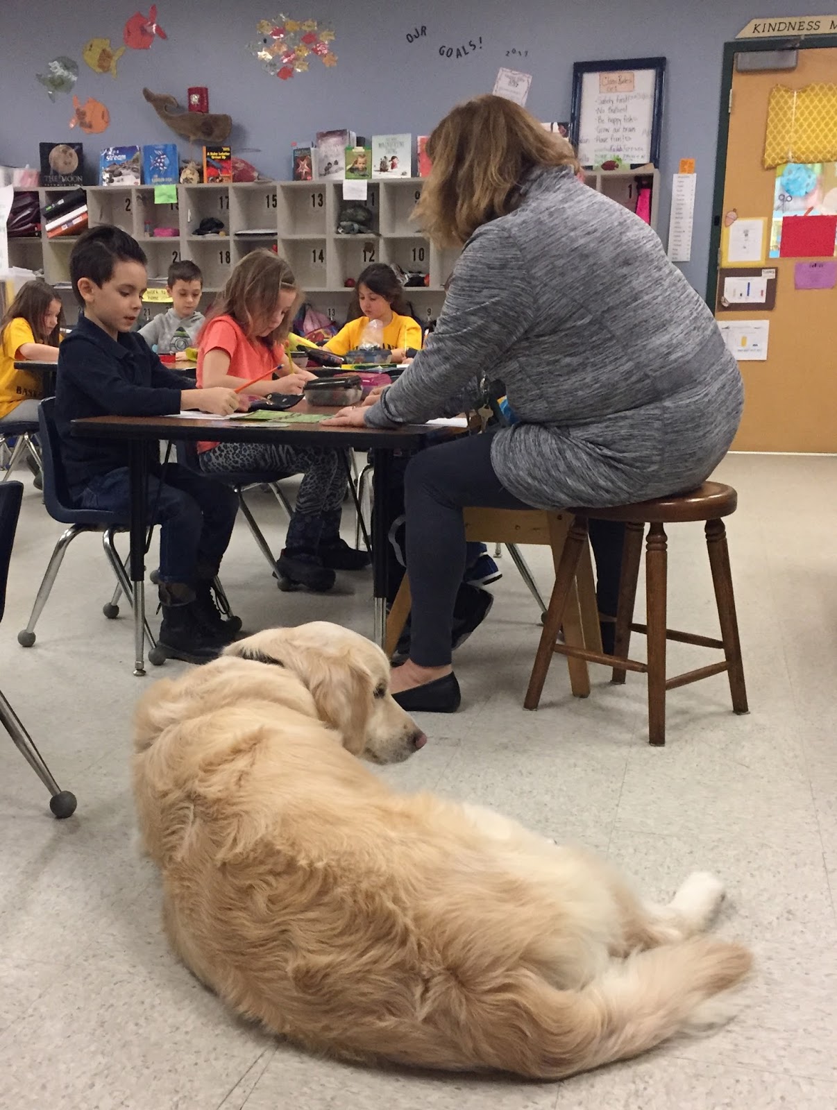 school for dogs manchester school district announcements therapy enhances learning school for dogs manchester school district announcements therapy enhances learning
