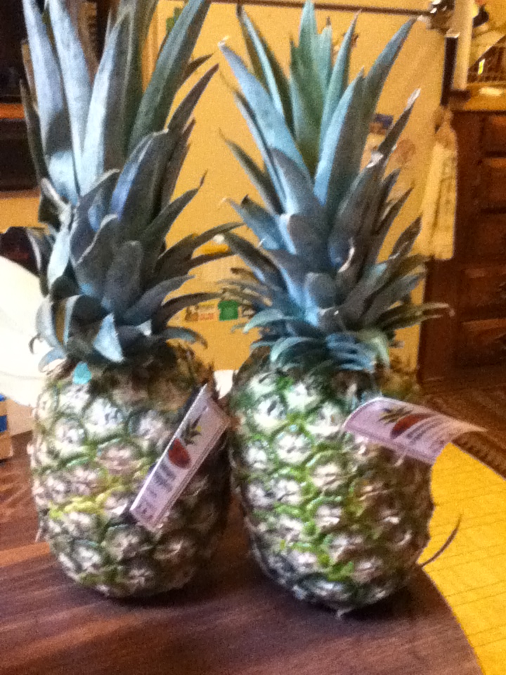 Frugal Aldi Pineapples