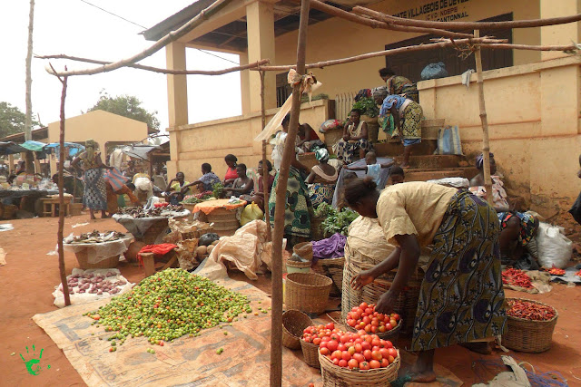 Bancarelle per la vendita di verdure, pomodori, igname e manioca Noepé, Togo, Africa
