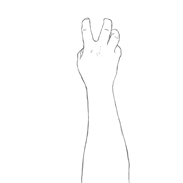 তারিকটুন (tariktoon)