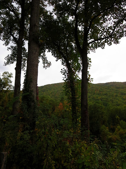 Appalachian Mountains Tennessee