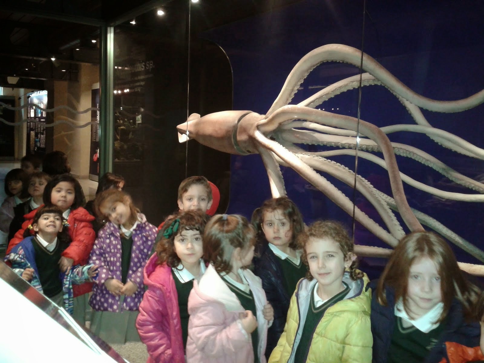 https://picasaweb.google.com/108366366089423600659/131407EXCURSIONMUSEOCIENCIASNATURALES4PRIMARIA?authuser=0&authkey=Gv1sRgCNeRp9rb4ZvvqgE&feat=directlink