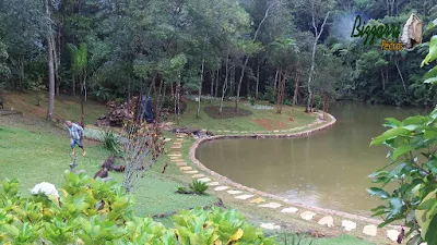 Execução do caminho com pedras em volta do lago com o muro de pedra em volta do lago, sendo caminho com pedra cacão de São Tomé com junta de grama.
