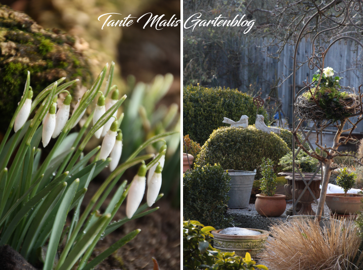Der Februar im Garten