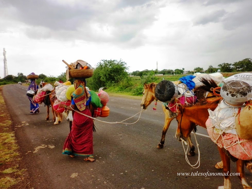 Tales Of A Nomad Nomads!