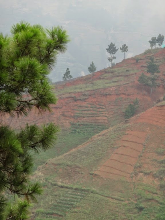 Snippets of Scenery Lookin Higher up the mountain above Fermathe (Haiti)!