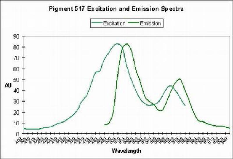 JackDanielReef di Daniele Russo: Come rendere i coralli più colorati ...