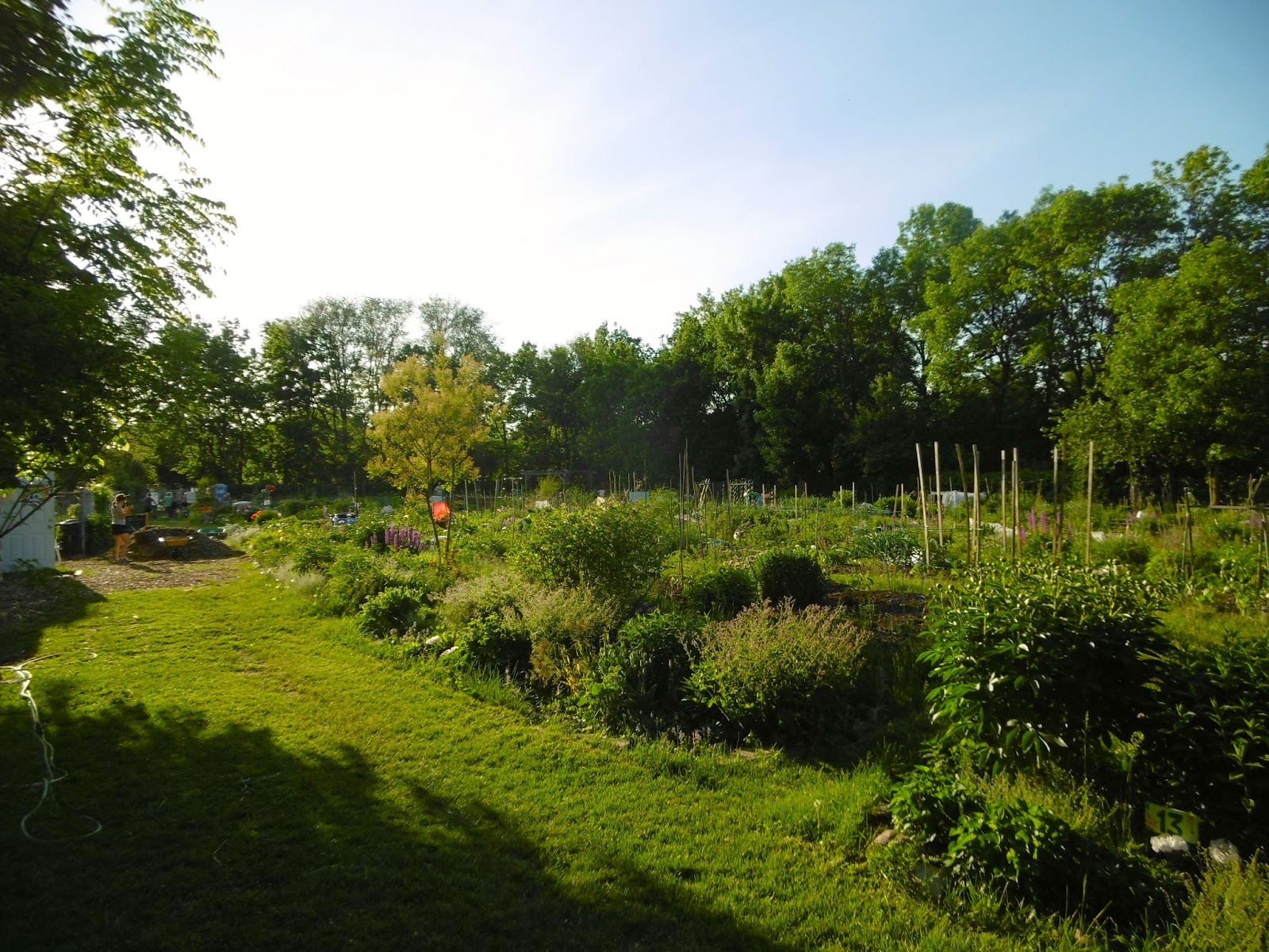 Jardin biologique l'Églantier Reportage photo le deuxième