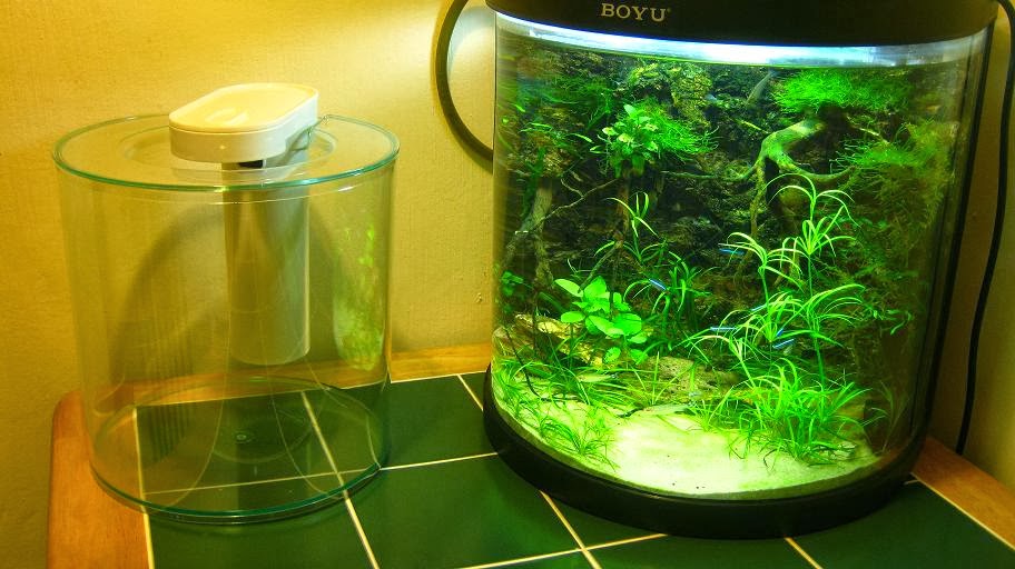 A NIGHT BY THE AQUARIUM Marina 360 Aquarium