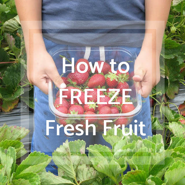 How to Freeze Fresh Fruit {with FREE printable}