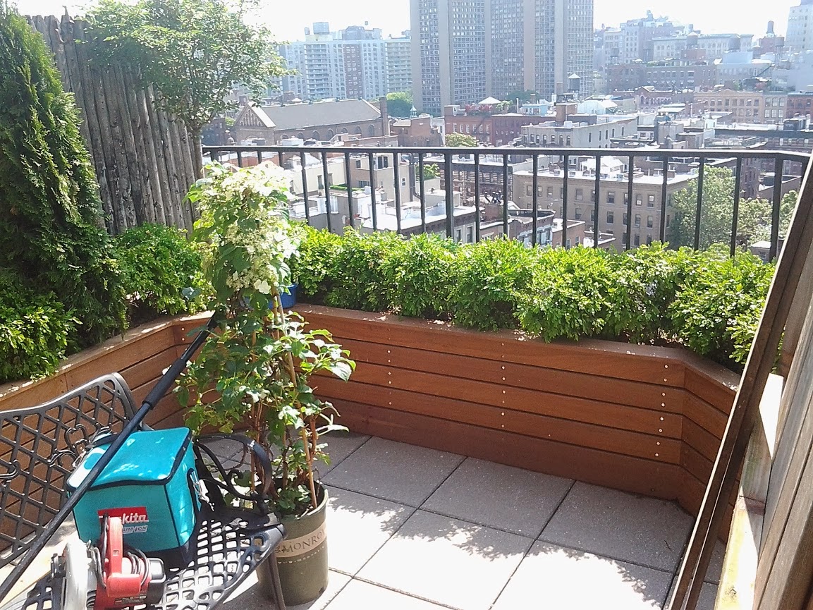 Manhattan Rooftop Gardeners New York Plantings Garden Designers and Irrigation company NYC : New ... Manhattan Rooftop Gardeners New York Plantings Garden Designers and Irrigation company NYC : New ... on Latest Garden Design
id=80112