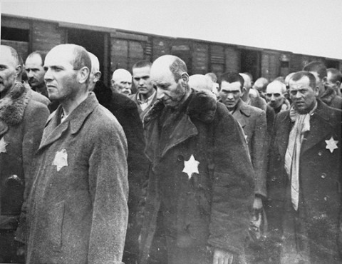 Las historias de Doncel: Auschwitz: imágenes de ayer y de hoy
