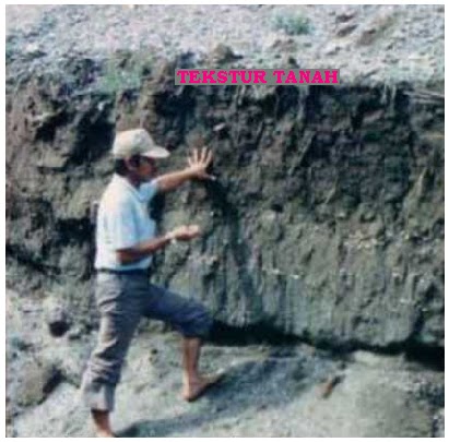 gambar tekstur tanah