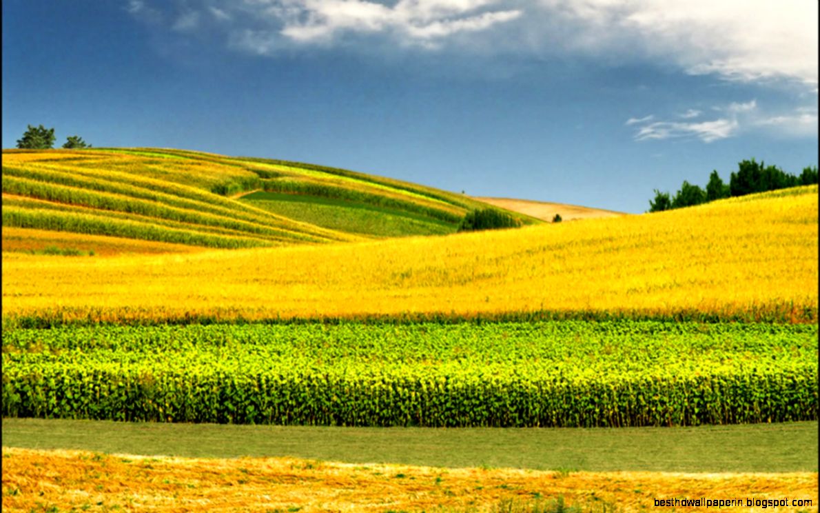 Wallpapers Naturemodore Spring Computer Keyword Nature 1280x800