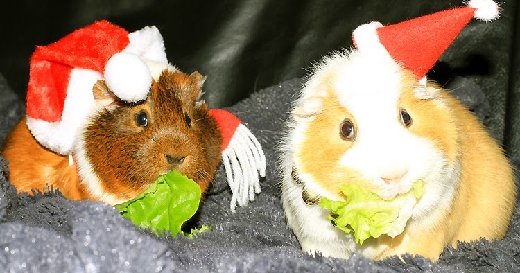 SichtBar: Naughty and nice!