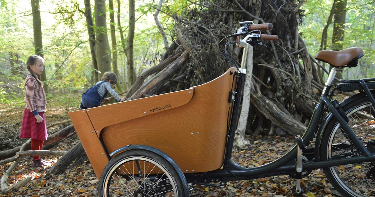 babboe carve e test