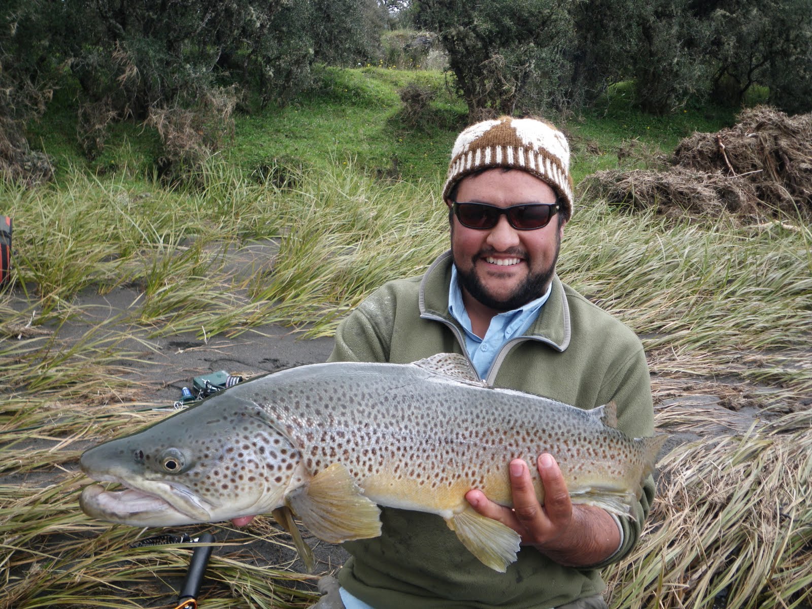 Wind River Fly Fishing Report, Dubois, Wyoming Huge Brown Trout