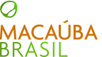 Macaúba Brasil