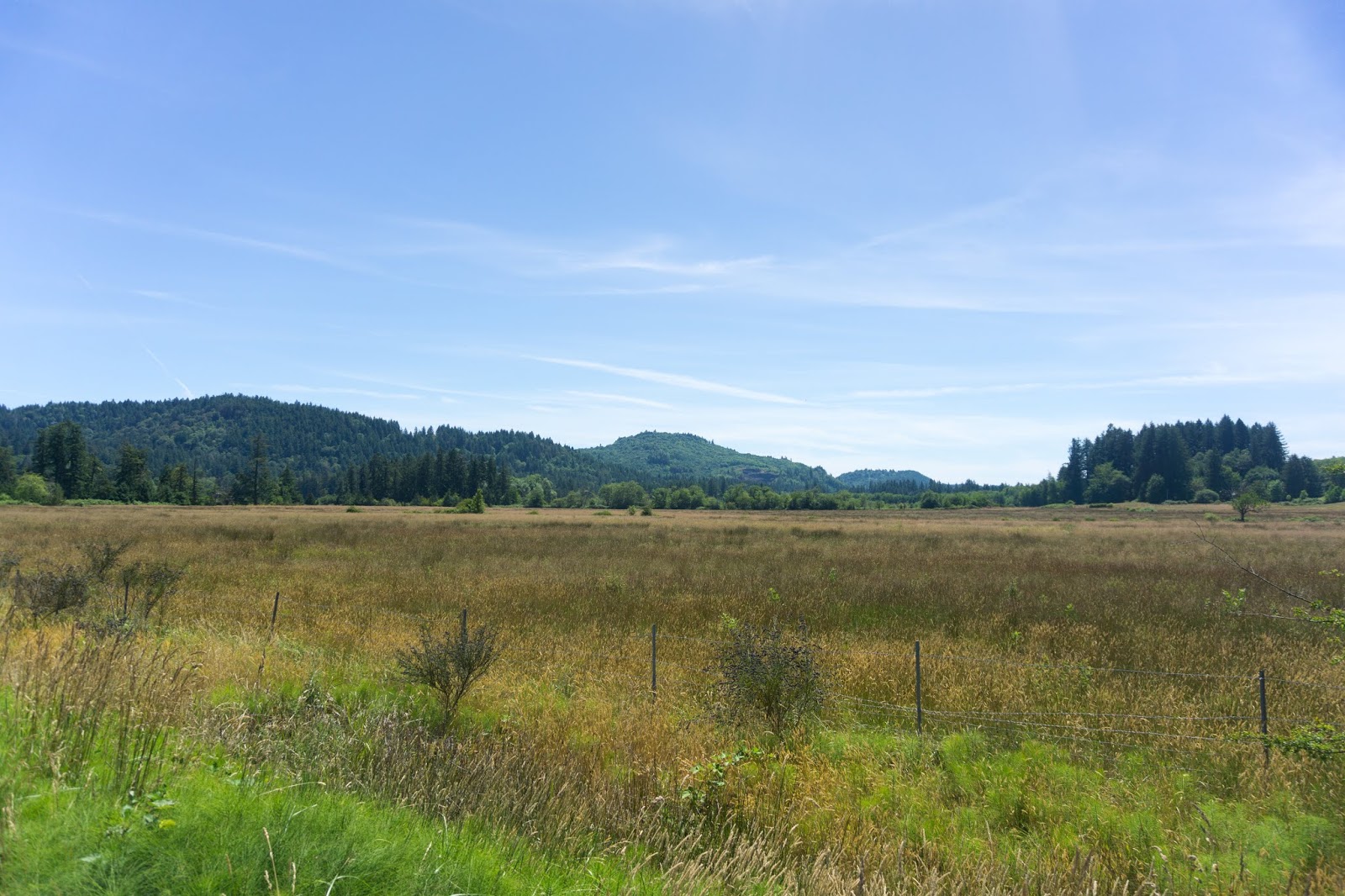 Boston to Seattle 2018 Day 76 Aberdeen,WA to Olympia,WA