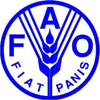 FAO%2Blogo