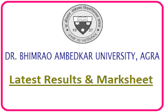 DBRAU Agra Results 2020