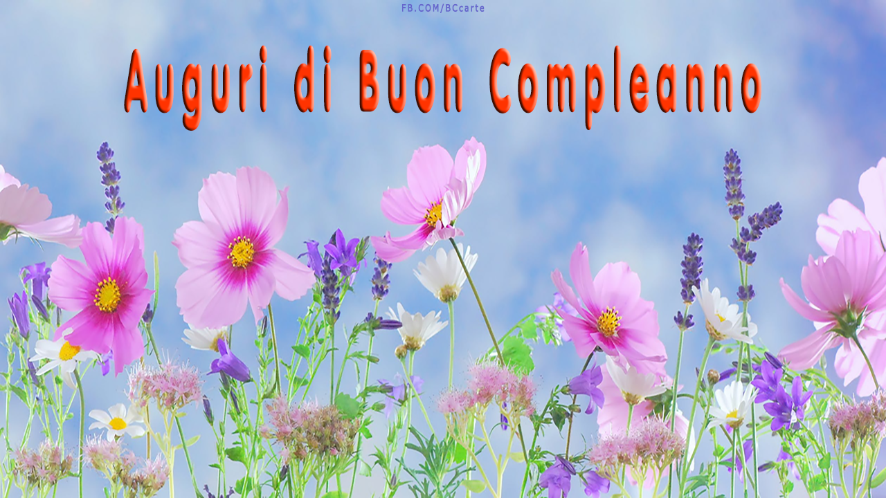 Buon compleanno fiori girasoli / cdb cartoline compleanno per tutti i Auguri di Buon Compleanno