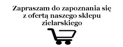 http://sklep-silanatury.pl/?s=moringa&post_type=product&dgwt_wcas=1