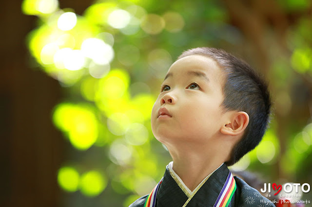 大神神社への七五三出張撮影