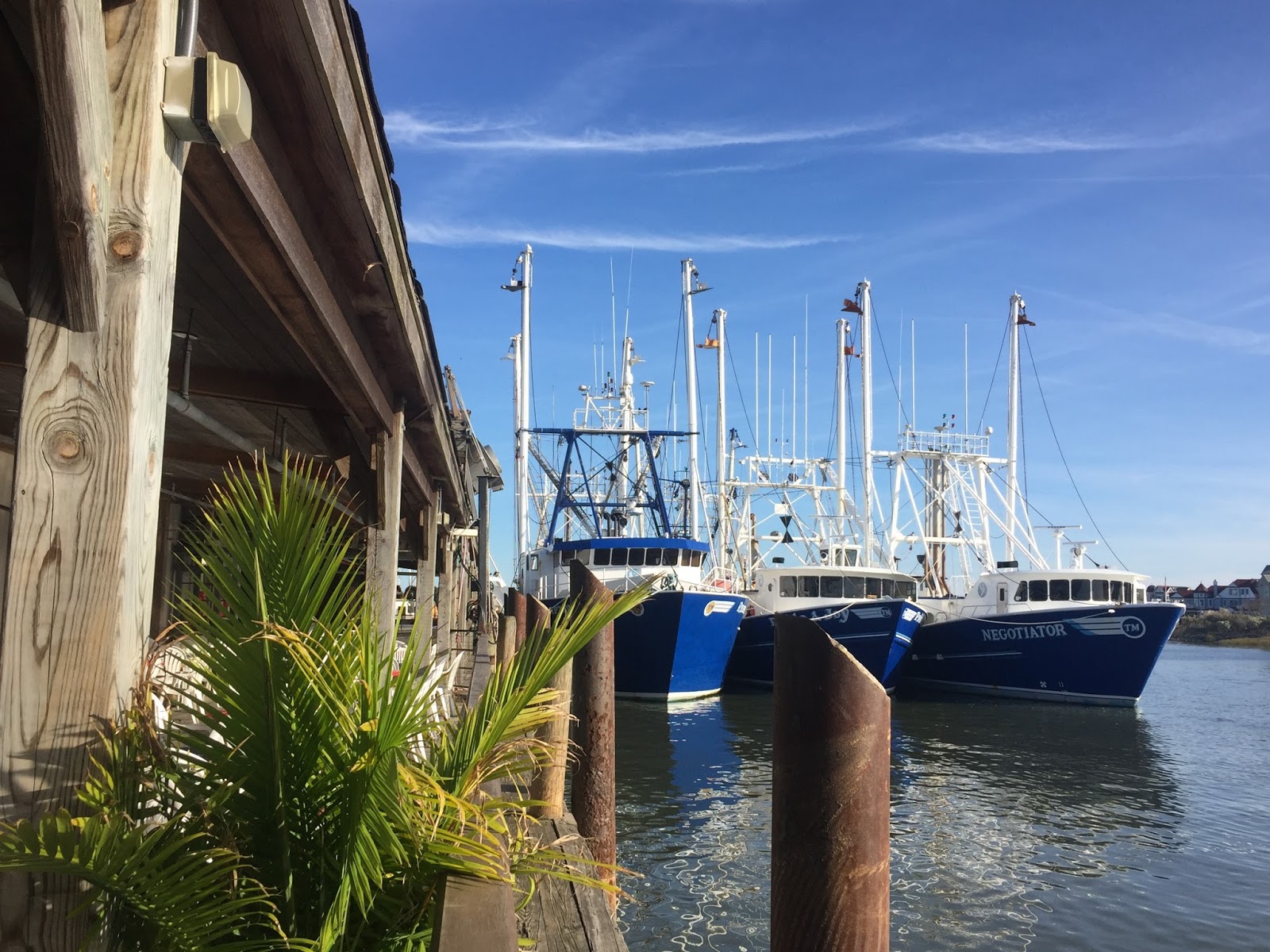 My Paisley World Dockside Lunch at The Lobster House, Cape May, NJ