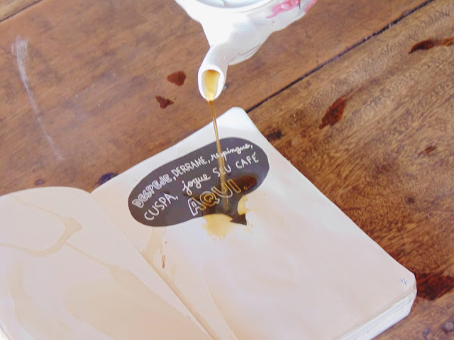 Destrua Este Diário