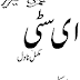 E City by Mazhar Kaleem M.A pdf download