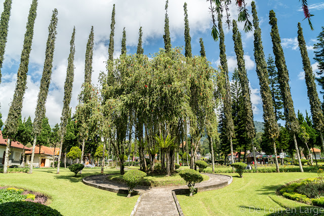 Temple du lac Bratan - Bali